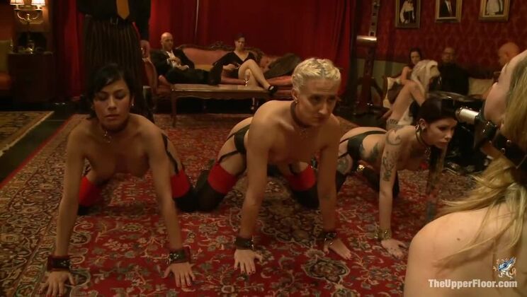 [TheUpperFloor] - Lily Labeau's BDSM Slave Initiation