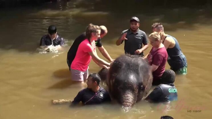 [ATKGirlfriends] - Brunette Bombshell Elena Koshka - POV Sex in the Great Outdoors - Elena Koshka