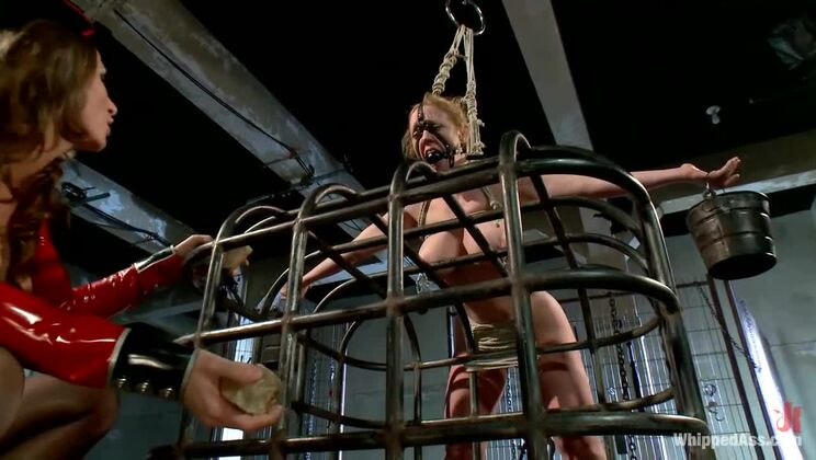 Ariel X's Lesdom: Dee Williams Surrenders Anally