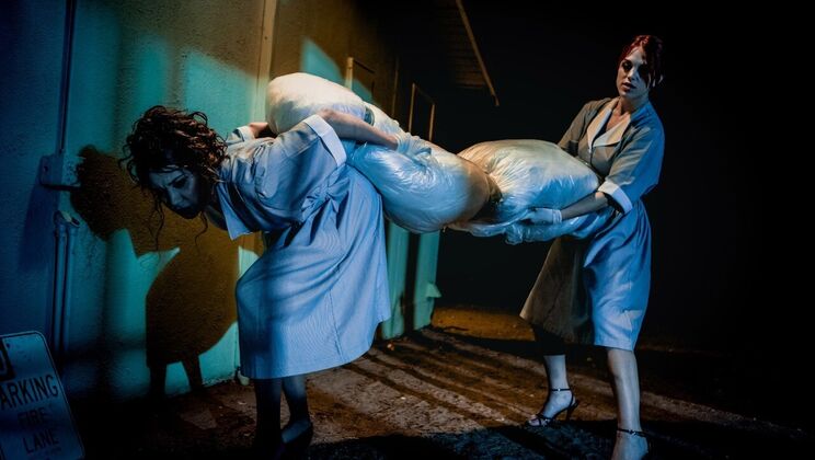 [DigitalPlayground] - Brunette & Redhead Trimmed Pussy Lesbian Action - Elena Koshka - Molly Stewart